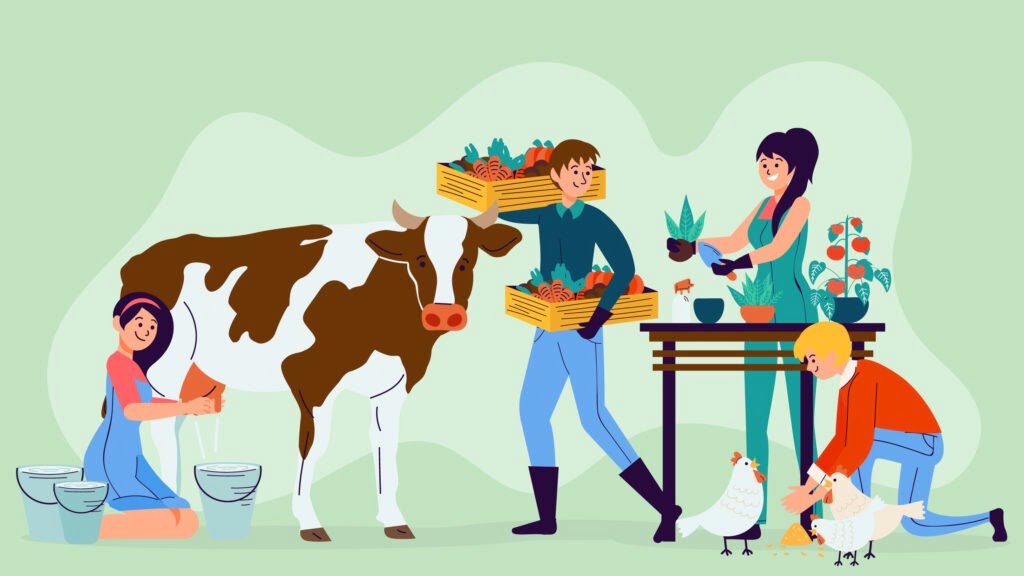 People tending to a cow while it stands beside them. Maastis about us kaamaye bio herbals