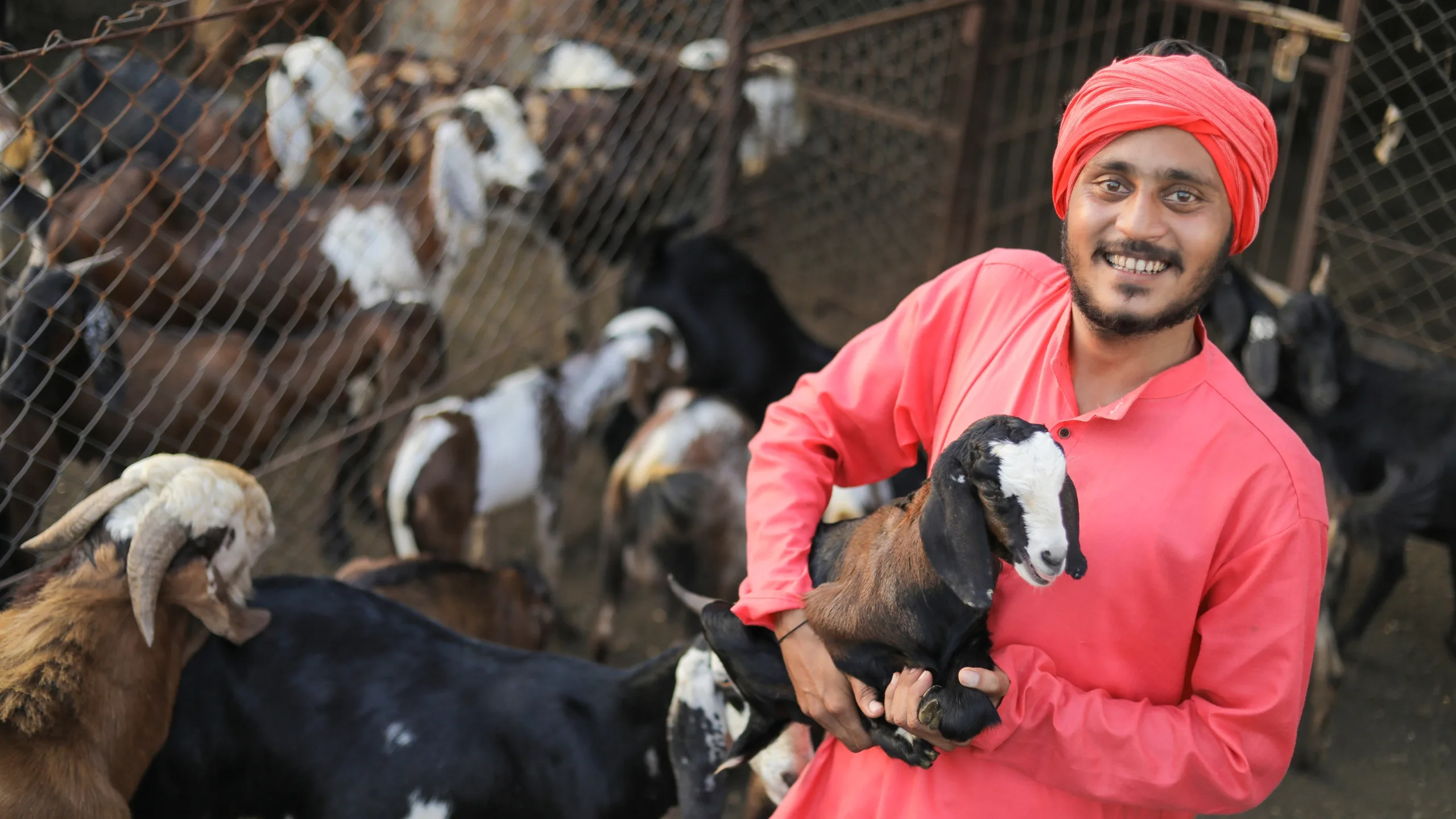 A man in a red shirt holding a goat, showcasing a bond between humans and animals. 1. A man in a red shirt gently cradling a goat, exemplifying compassion and connection. 2. An image of a man wearing a red shirt, tenderly embracing a goat, symbolizing harmony and care. 3. A man in a red shirt affectionately holding a goat, illustrating the beauty of human-animal interaction.
